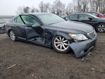 Lexus LS 2008