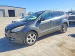 Ford Escape 2016