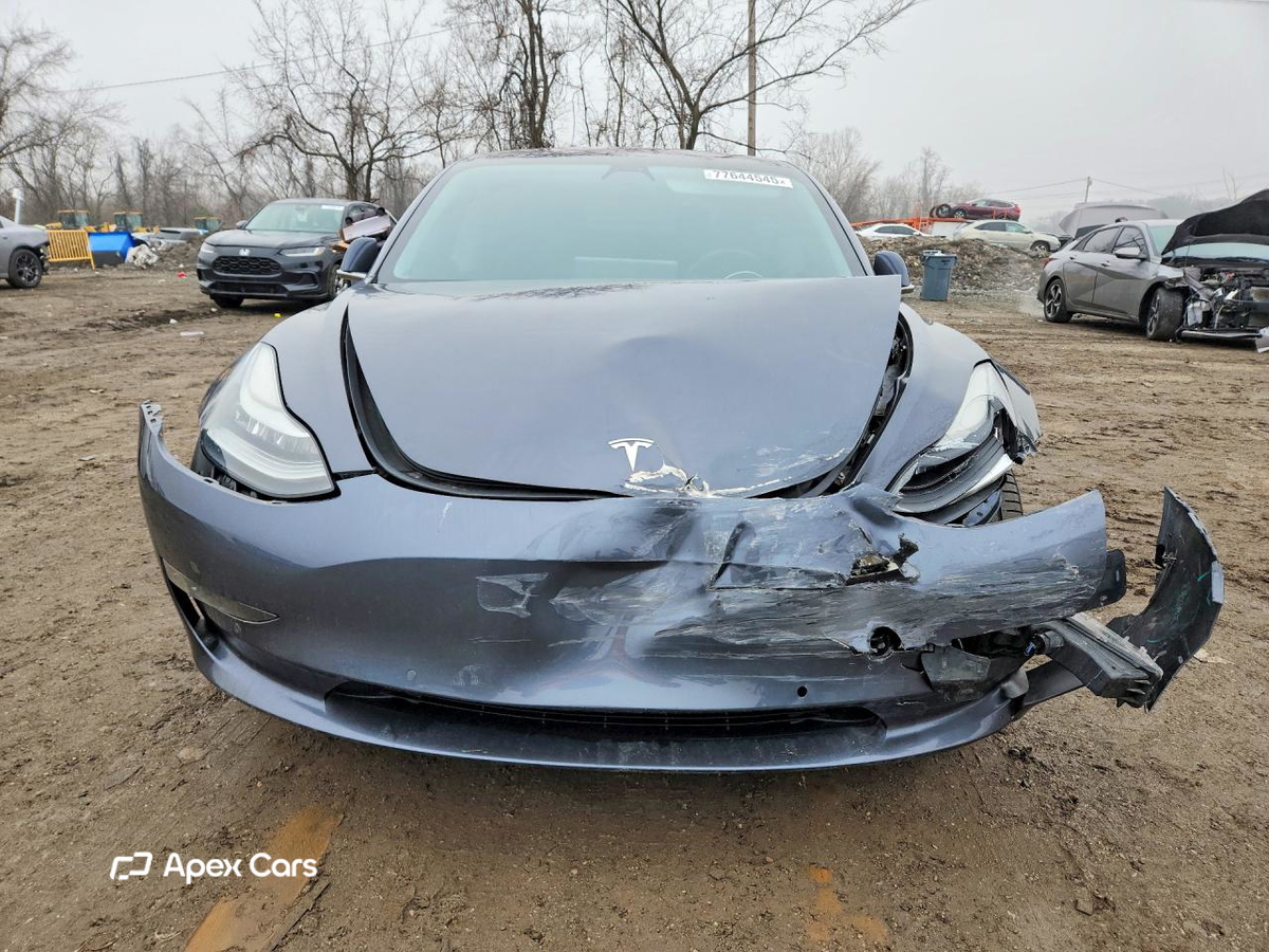 Tesla Model 3 2019