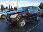 Lexus GX 2013
