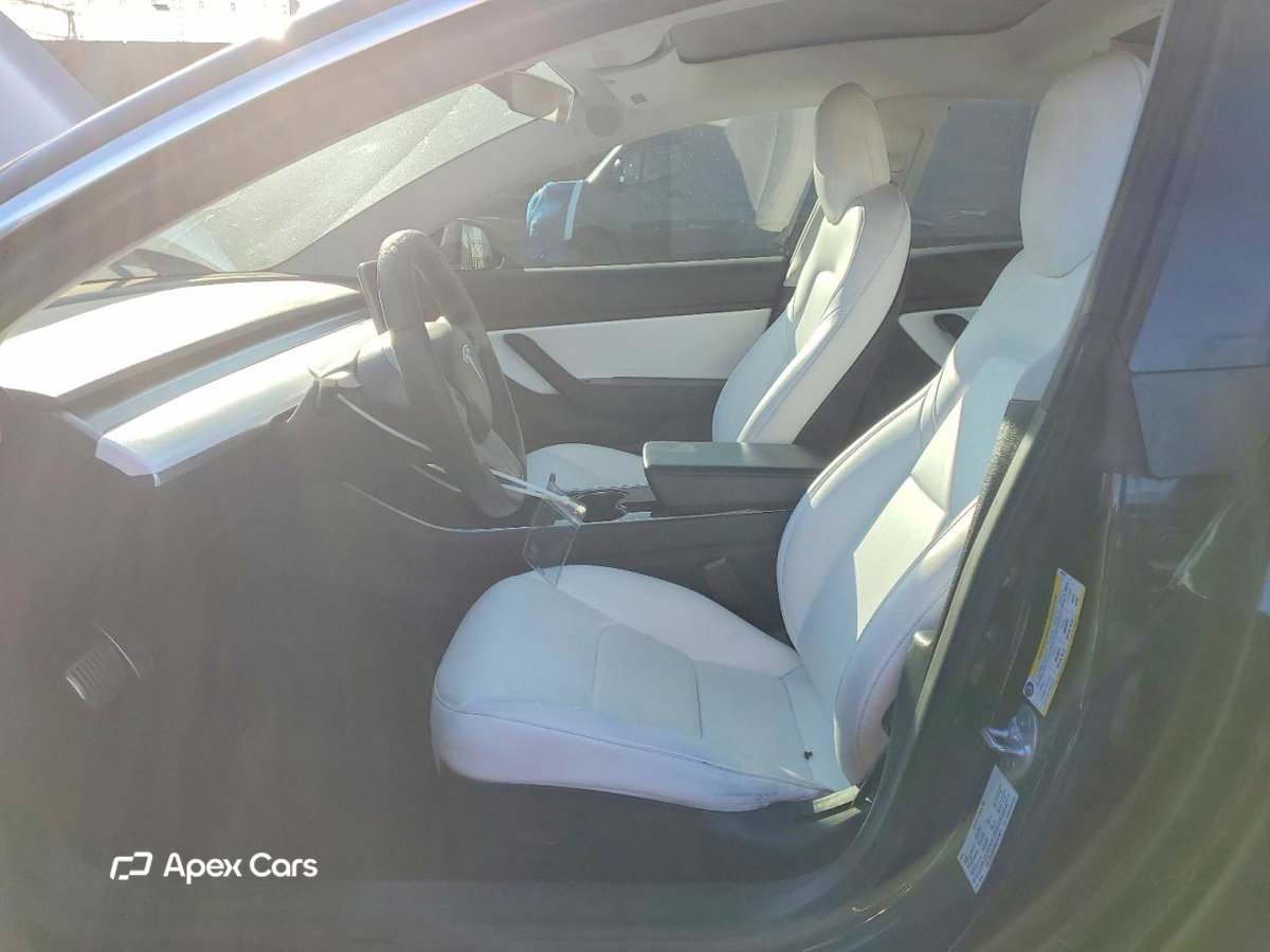 Tesla Model 3 2019