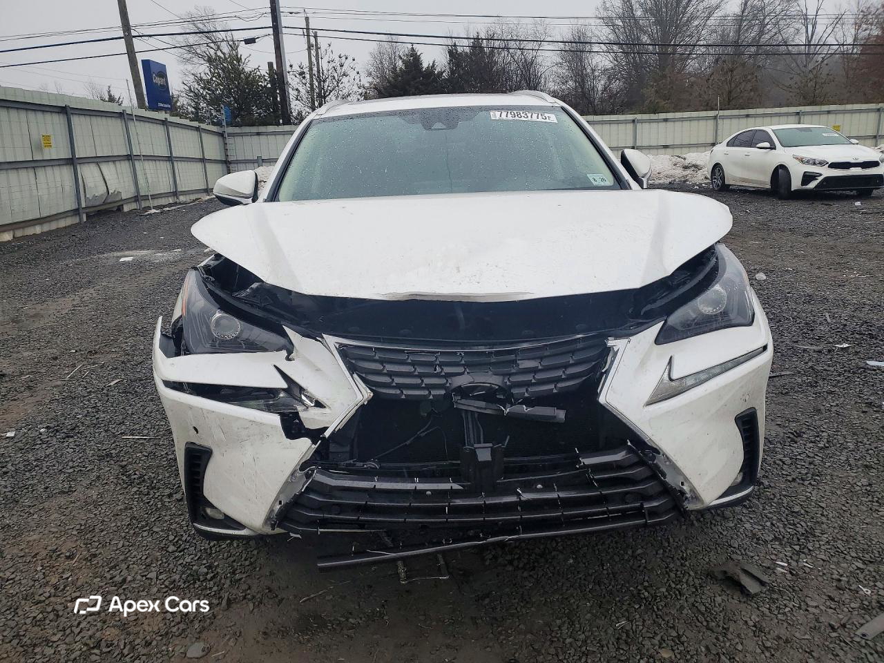 Lexus NX 2021