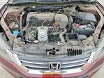 Honda Accord 2013
