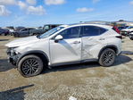Lexus NX 2024
