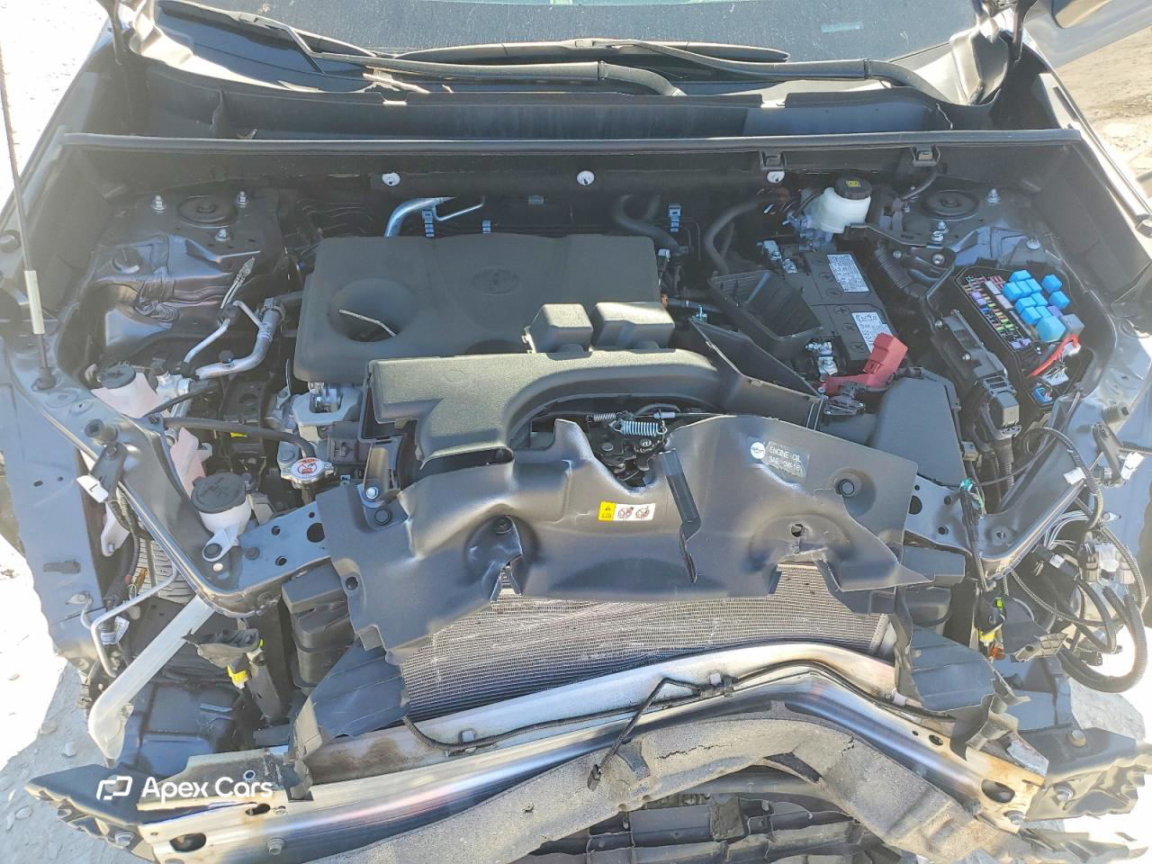 Toyota RAV 4 2024