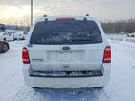 Ford Escape 2010