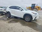 Lexus NX 2020
