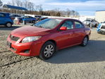 Toyota Corolla 2010