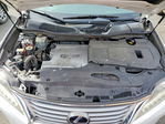 Lexus RX 2013
