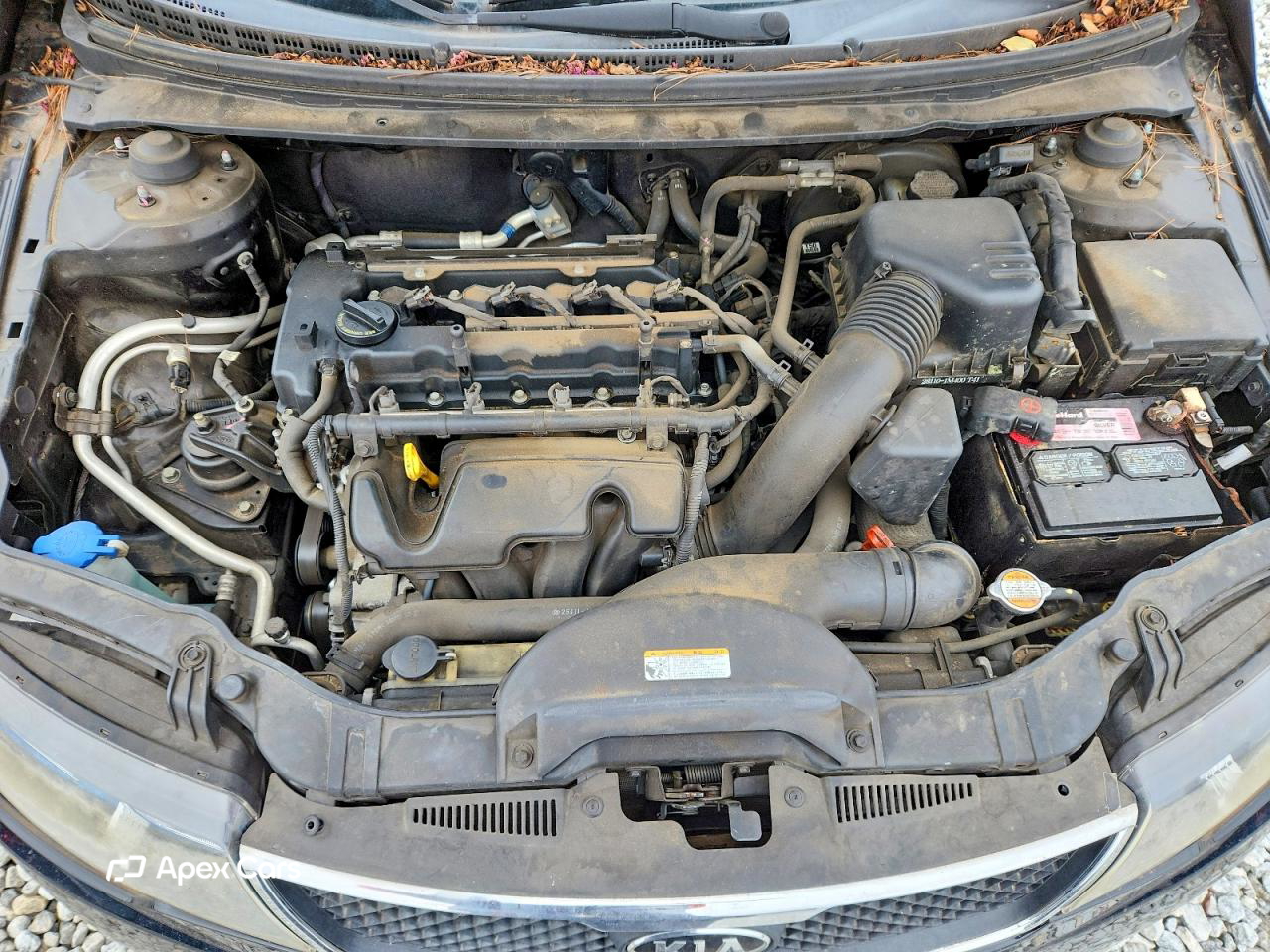 Kia Forte 2010