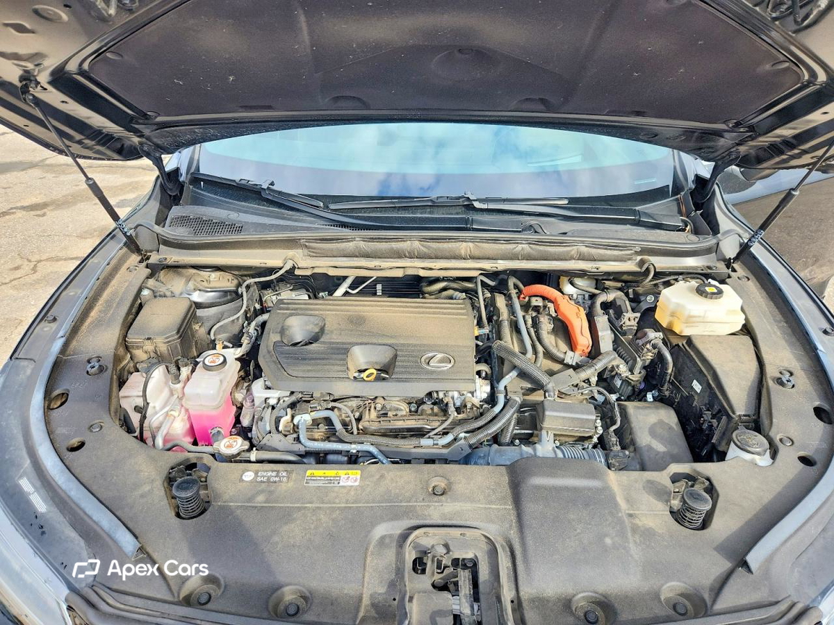 Lexus RX 2023
