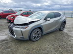 Lexus UX 2021