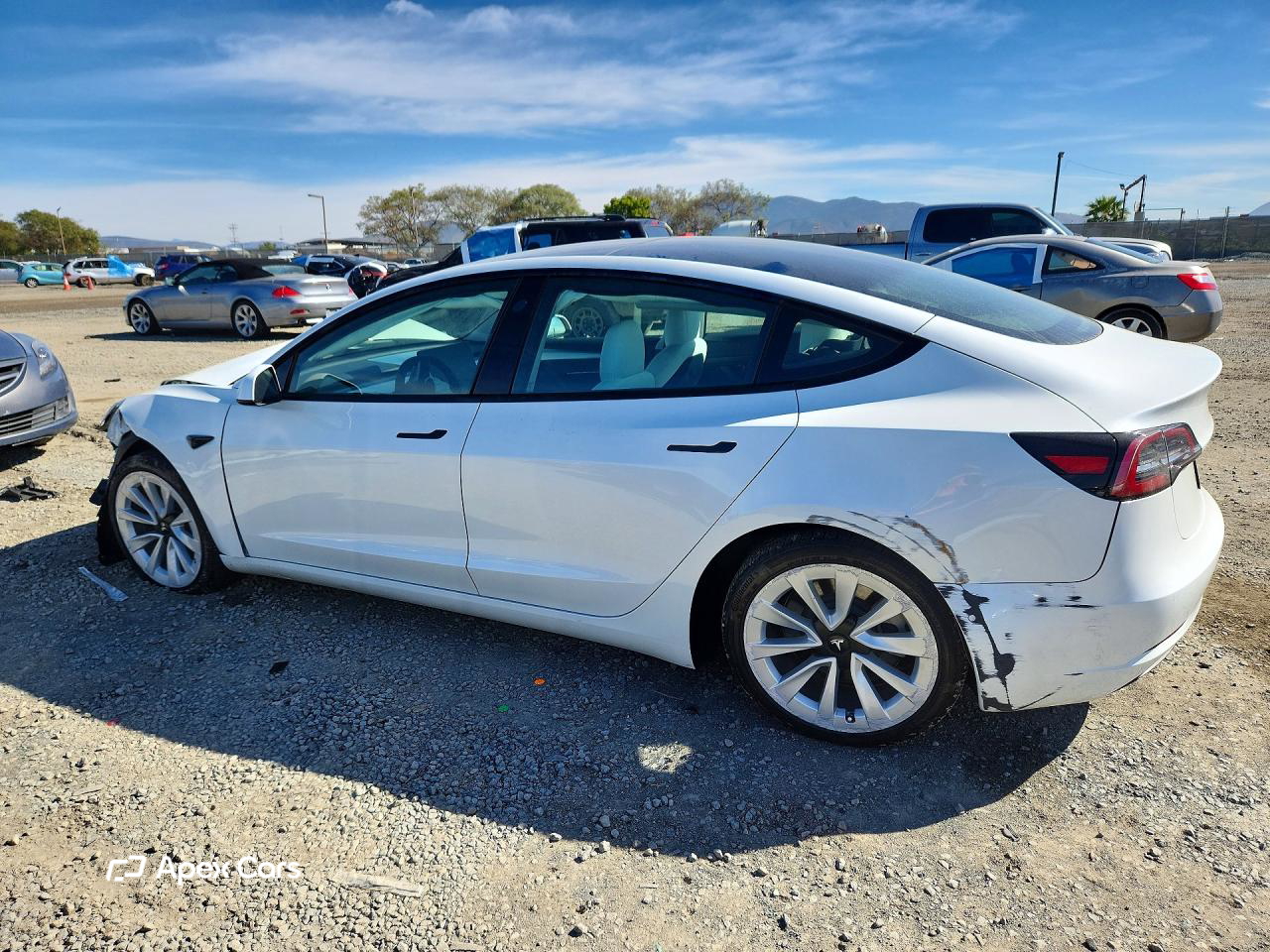 Tesla Model 3 2022