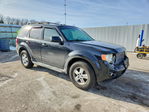 Ford Escape 2011
