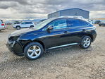 Lexus RX 2010