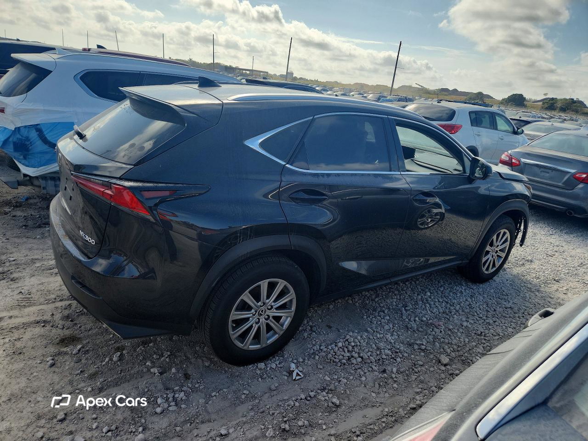 Lexus NX 2021