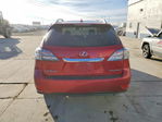 Lexus RX 2010