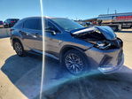 Lexus RX 2022