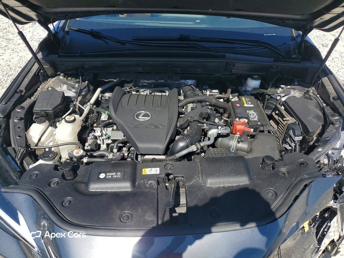 Lexus NX 2022
