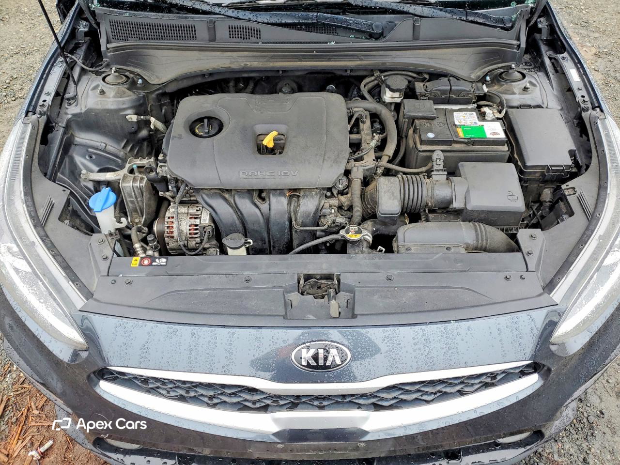 Kia Forte 2019