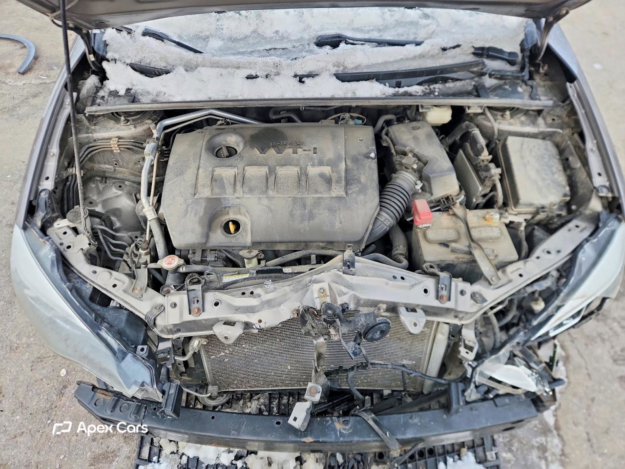 Toyota Corolla 2019