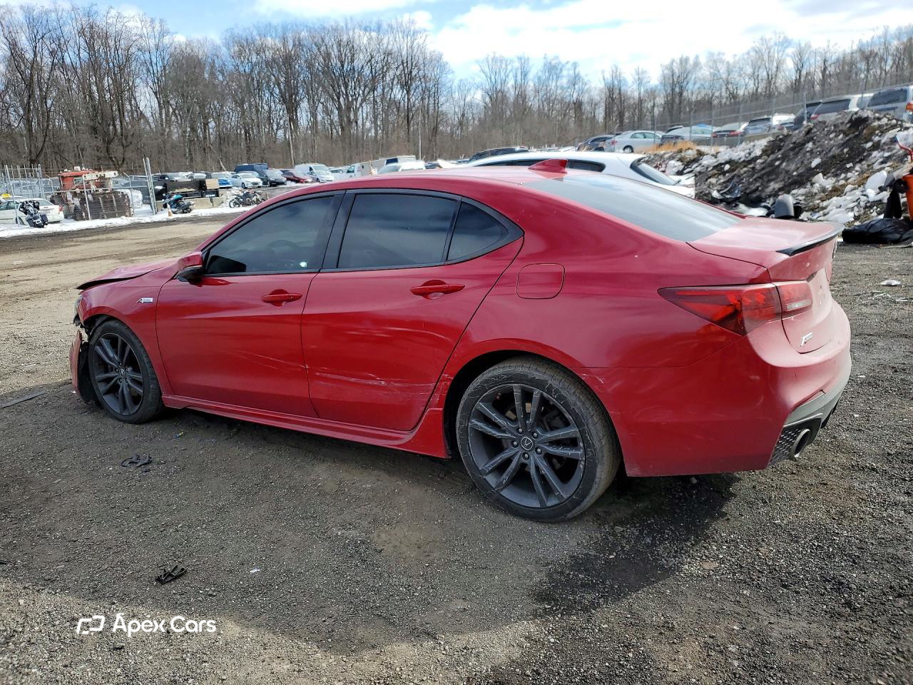 Acura TLX 2019