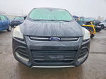 Ford Escape 2013