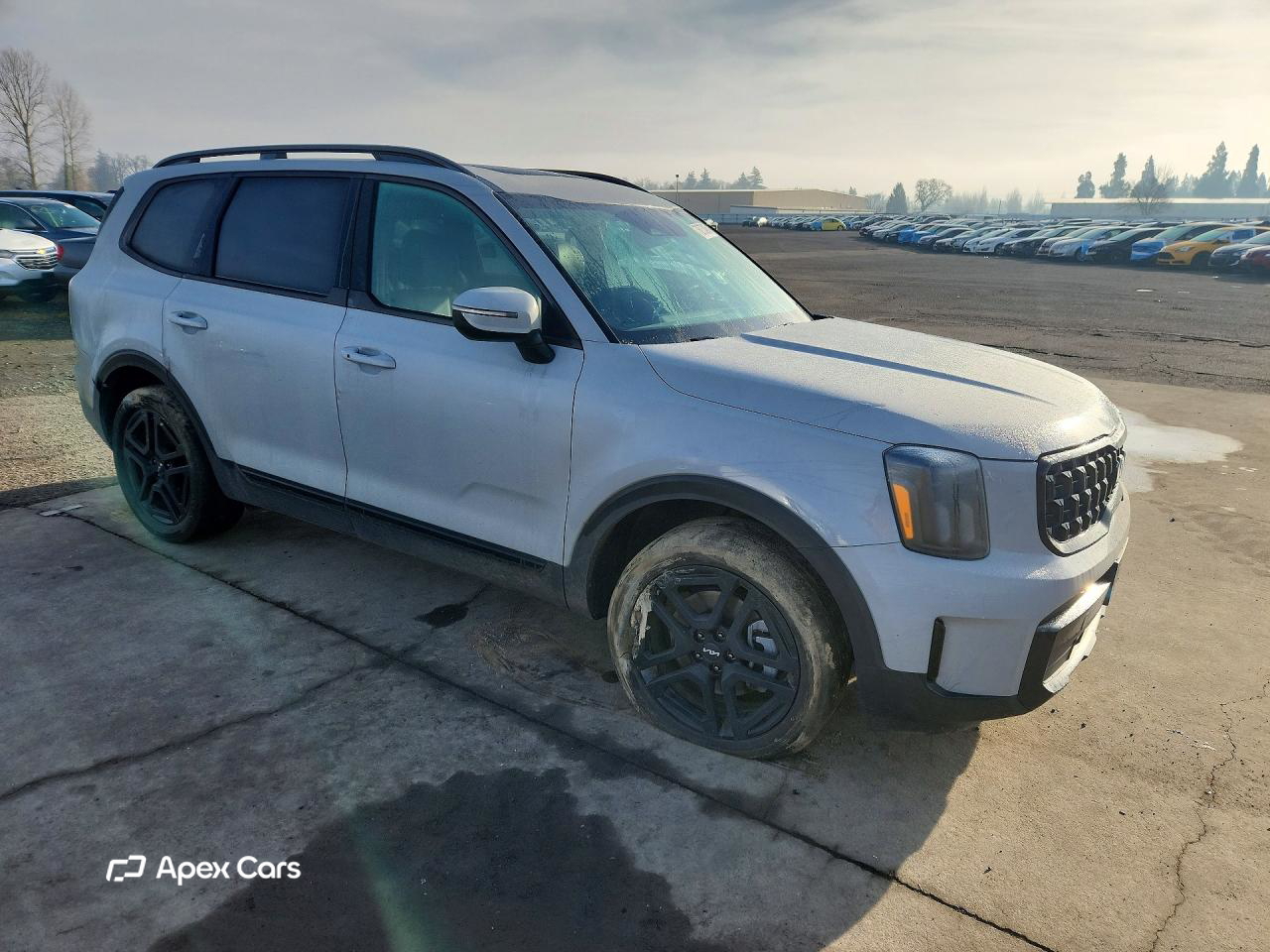 Kia Telluride 2024