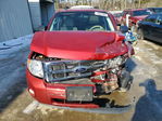 Ford Escape 2012