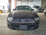 Ford Mustang 2014
