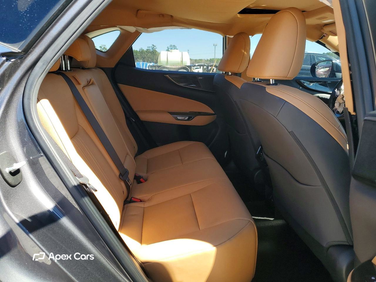 Lexus NX 2022