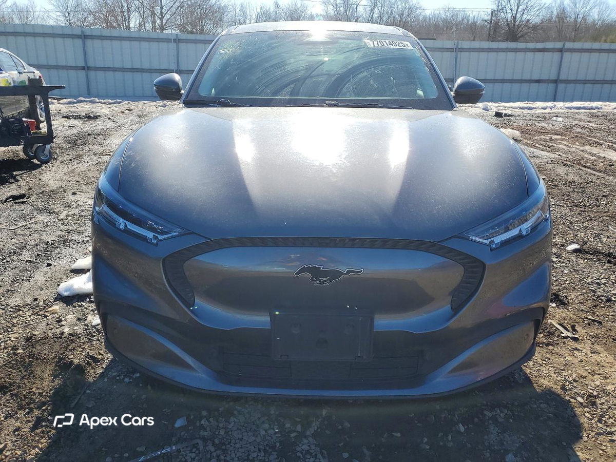 Ford Mustang 2021