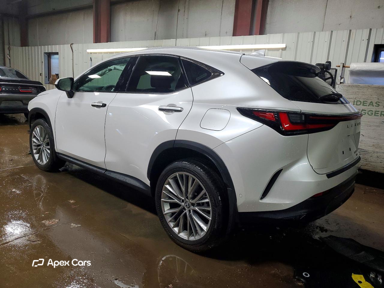 Lexus NX 2025