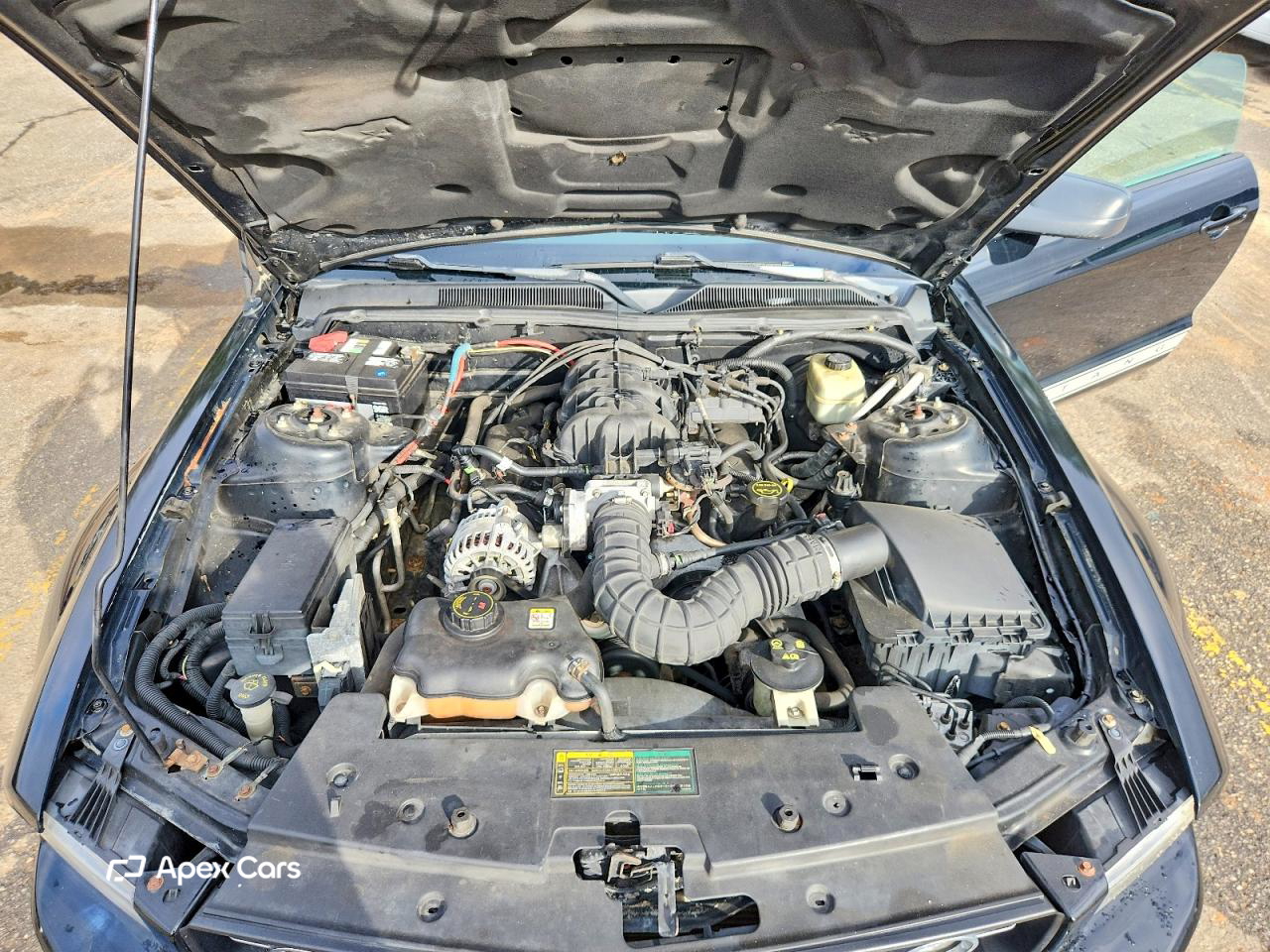 Ford Mustang 2006