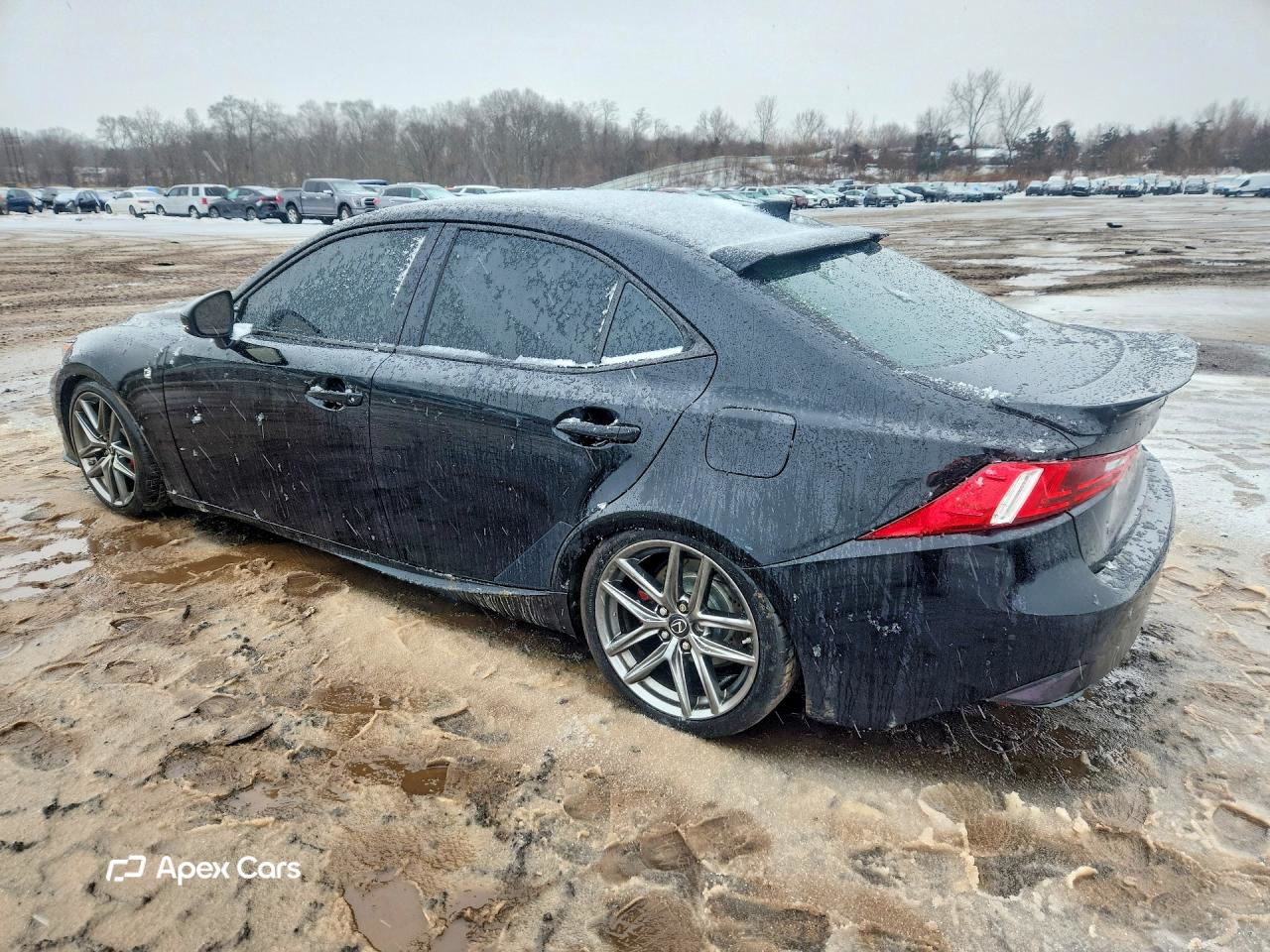 Lexus IS 2014