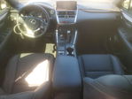 Lexus NX 2020