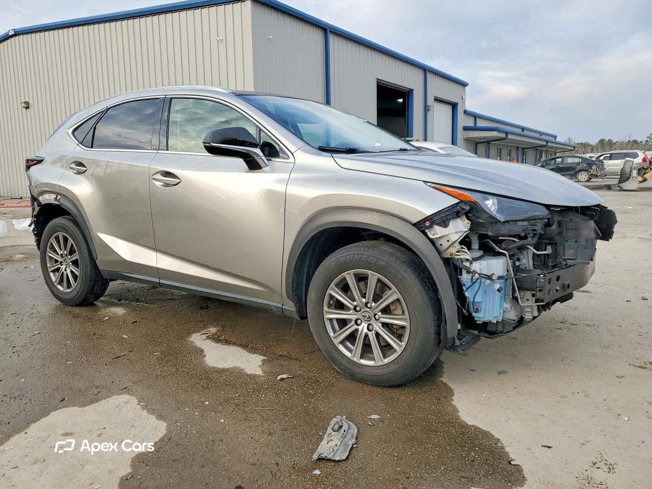 Lexus NX 2019