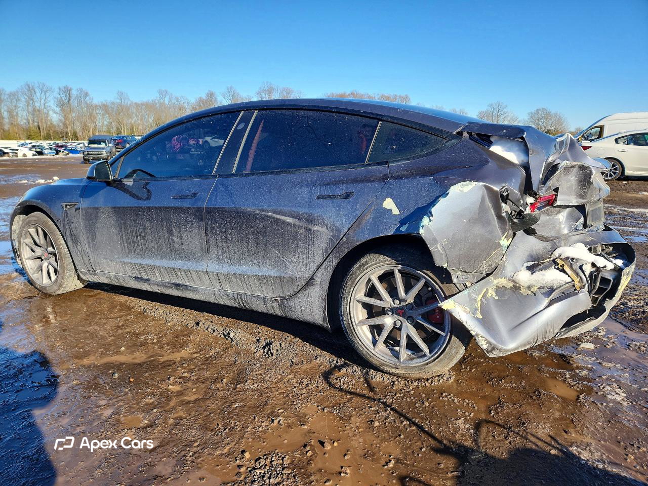 Tesla Model 3 2021