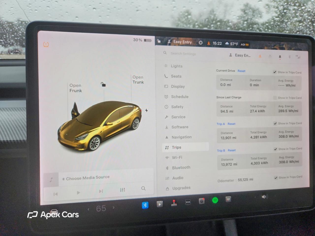 Tesla Model 3 2021