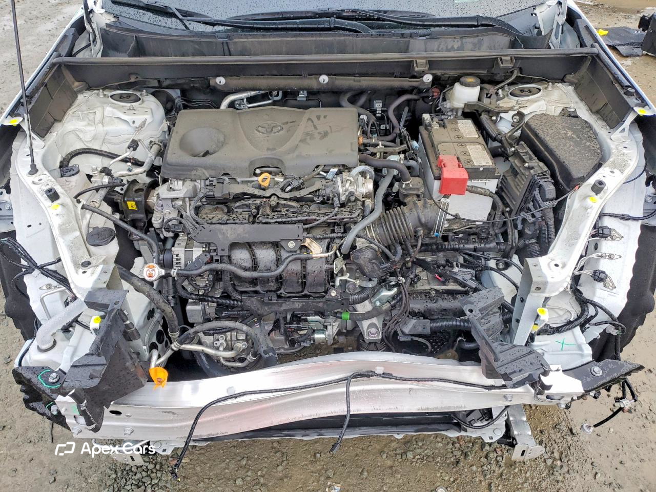 Toyota RAV 4 2024