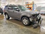 Ford Escape 2012