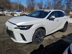 Lexus RX 2024