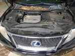 Lexus RX 2011