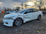 Honda Accord 2013