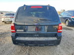 Ford Escape 2012