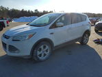 Ford Escape 2013
