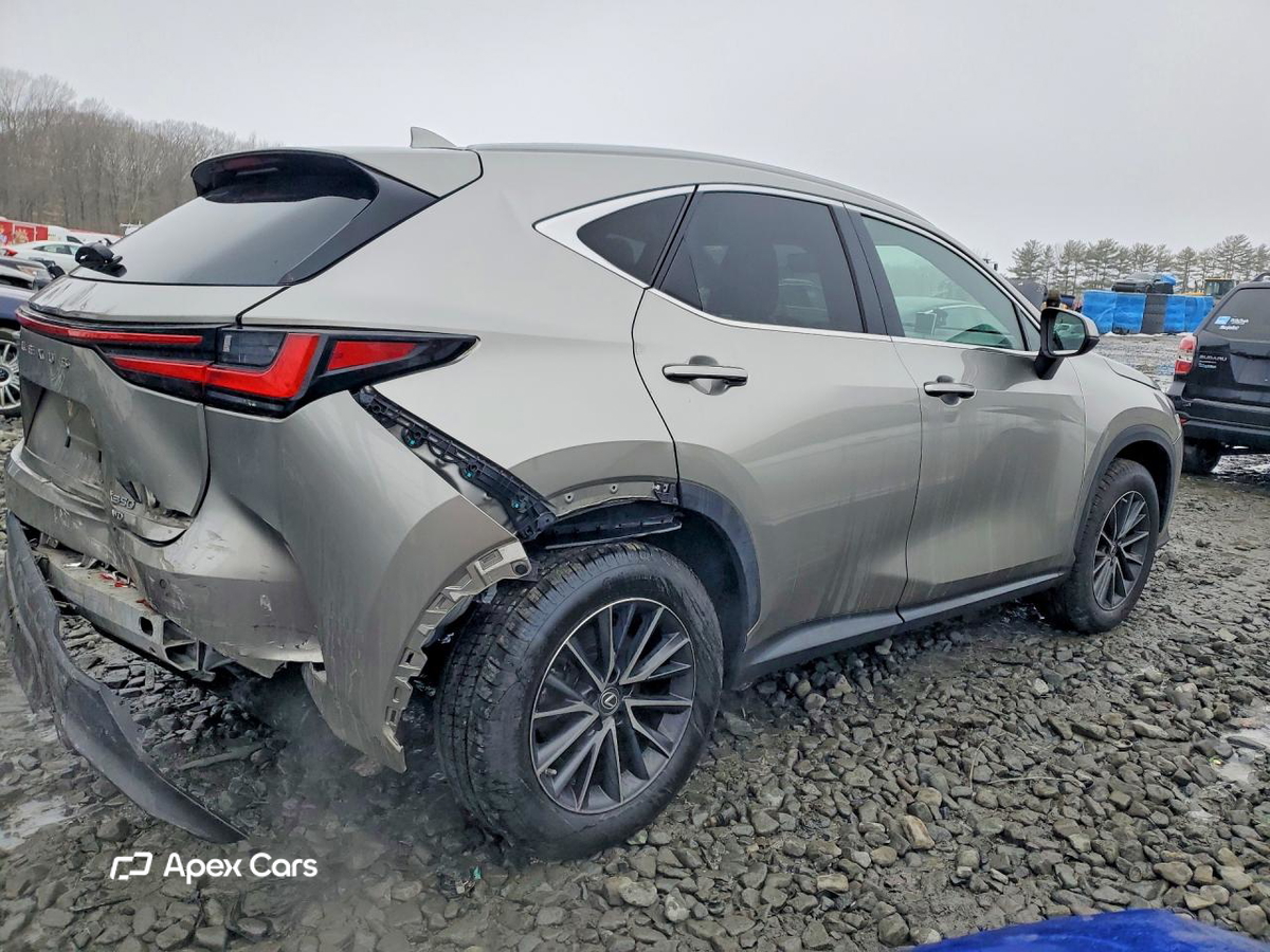 Lexus NX 2022