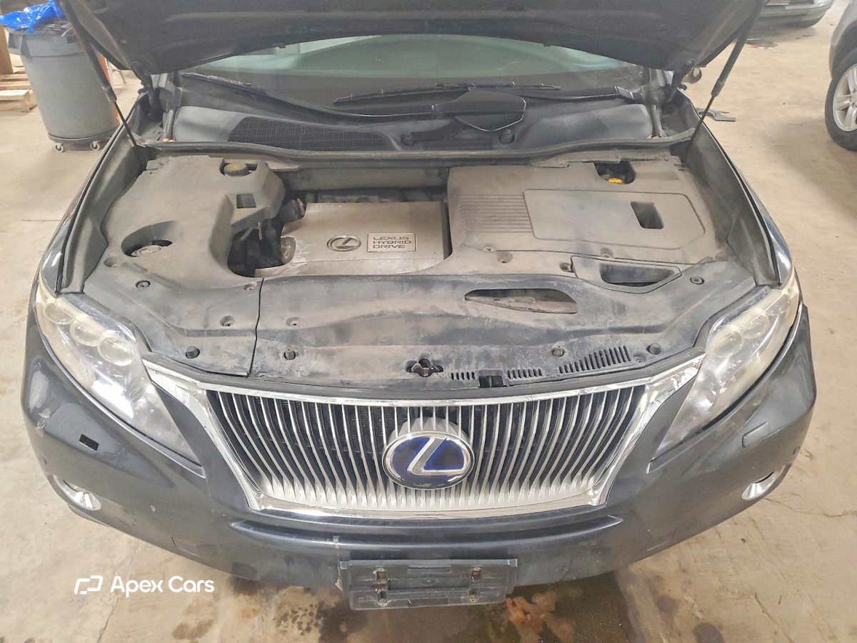 Lexus RX 2010