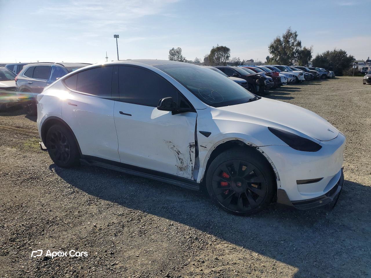 Tesla Model Y 2021