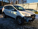 Ford Escape 2015